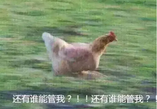 1603073814922562.png image.png