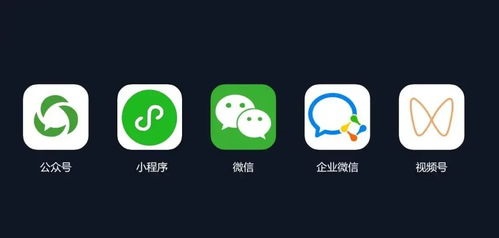 1664158543860043.jpg 5.jpg